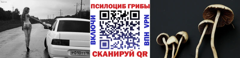 Купить где  Горячий Ключ  Псилоцибиновые грибы Magic Shrooms 
